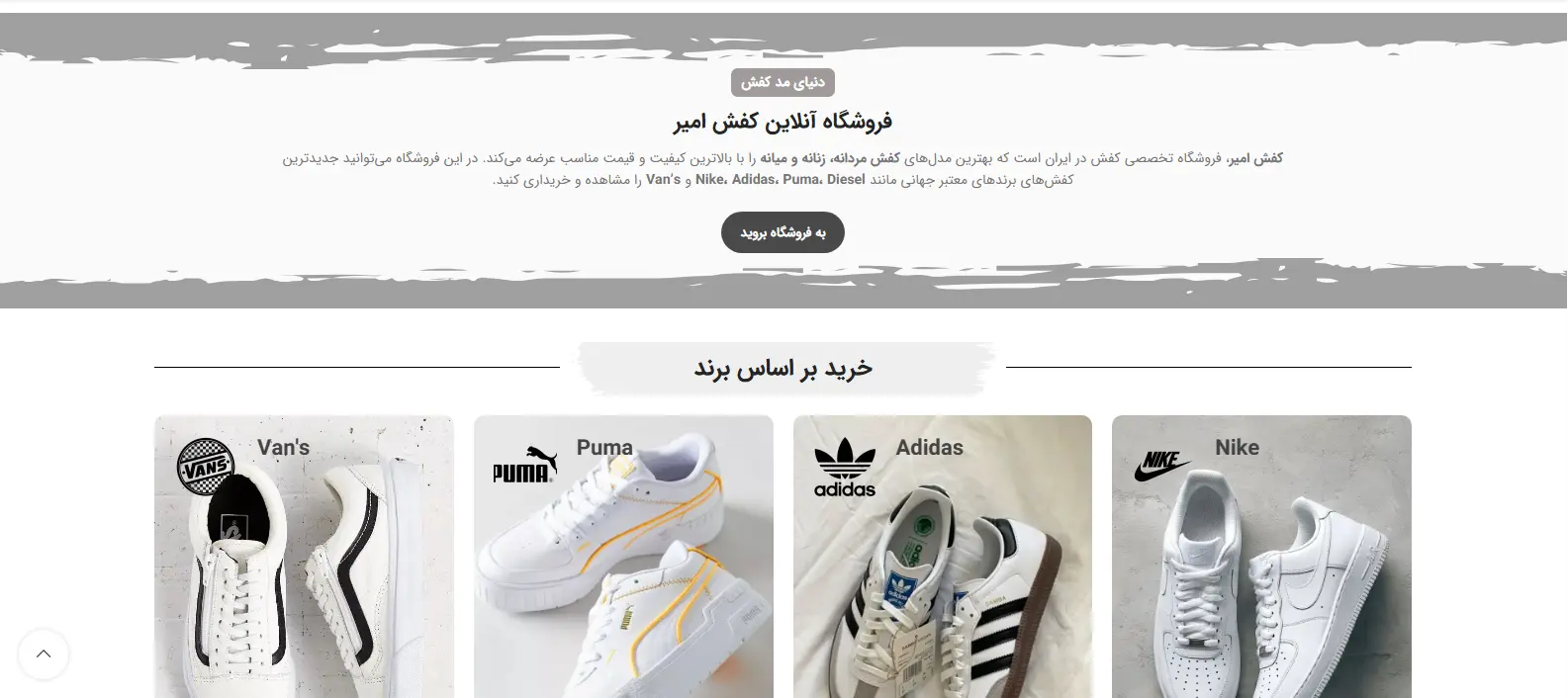 کفش اسپرت
